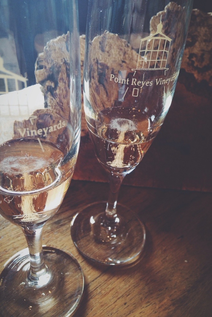 Point Reyes Vineyards