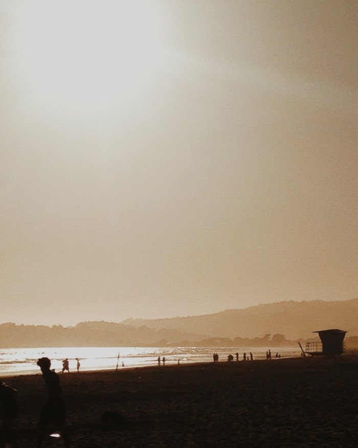 we took the scenic route home along HWY 1 with a stop at Stinson Beach