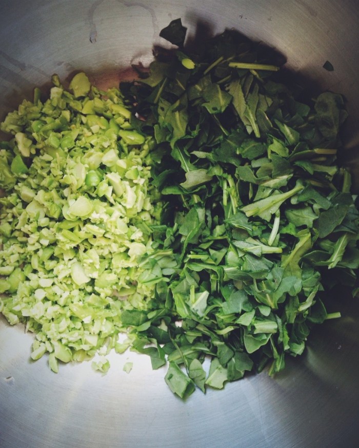 The rough chopped items before adding in the puree