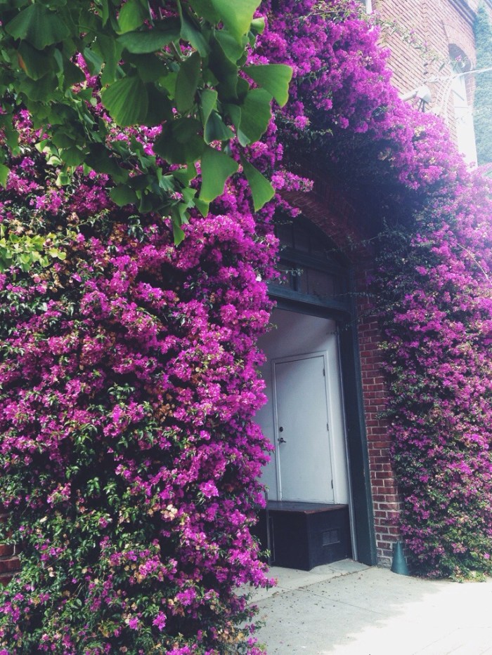 This doorway was flirting with me big time.
