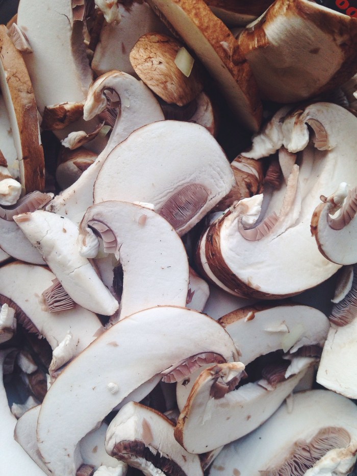 I hate you because you aren't chanterelles but I love you because you are mushrooms