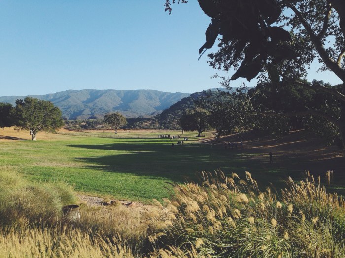 The venue...too bad it's not very pretty