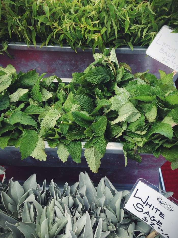 Beauty in the little things