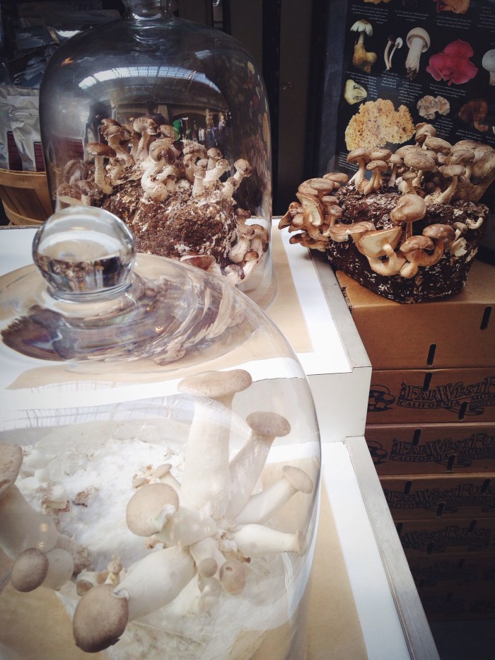 The most visually stunning stand in my humble opinion