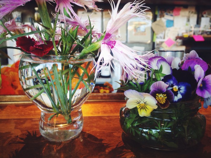 One last picture of the pretties