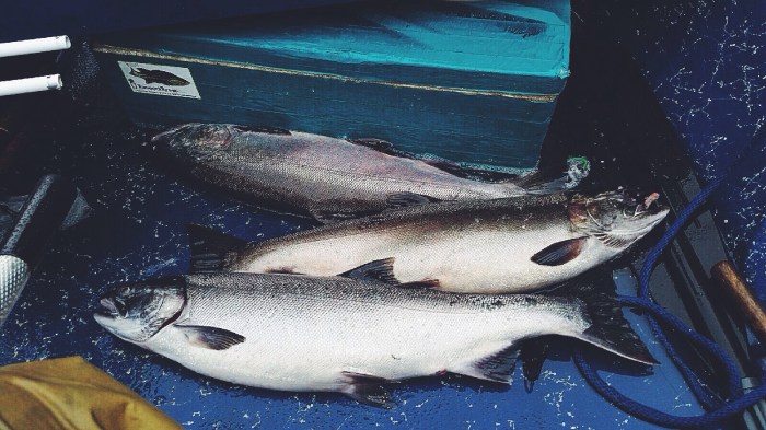 My dad sure had a great start to his morning. What'd you do before 9:00 am?