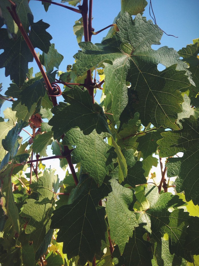 Processed with VSCOcam with f2 preset