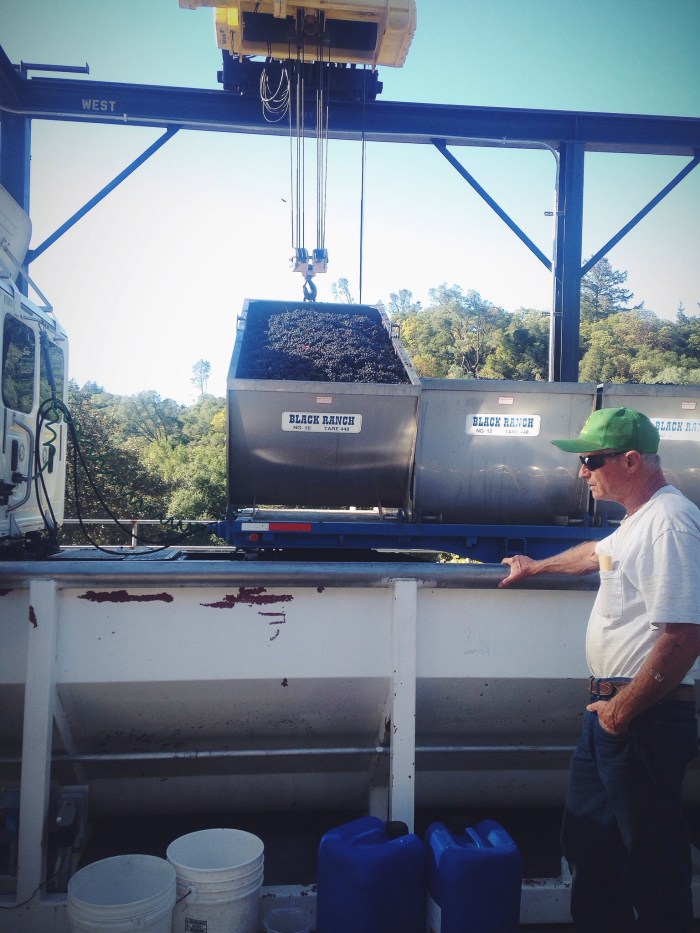 Farmer John and his grapes