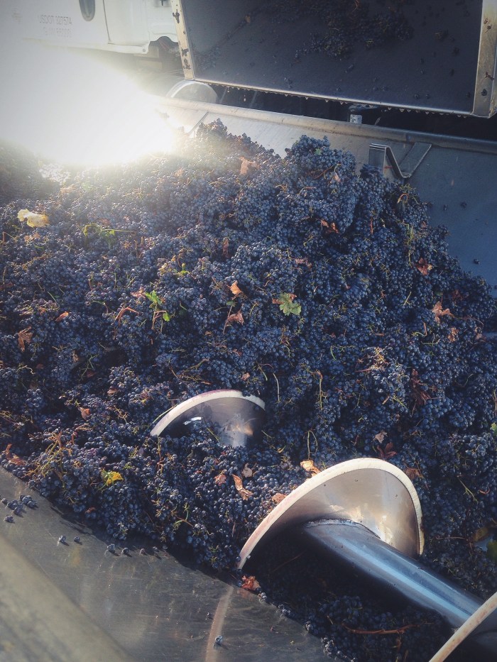 Processed with VSCOcam with f2 preset