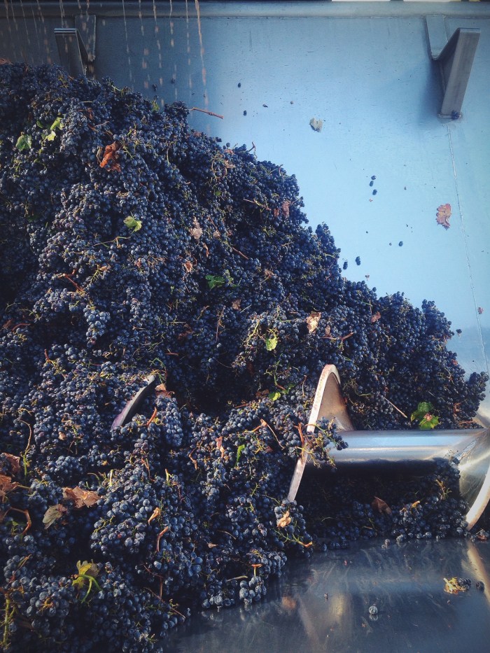 Processed with VSCOcam with f2 preset