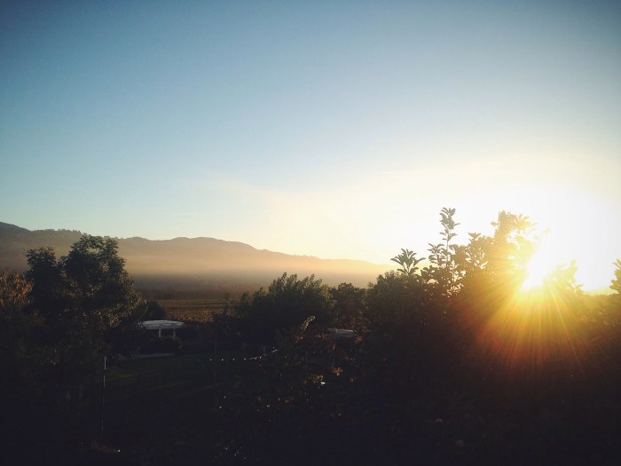 Start of day two and I got to see the sun rise over the Russian River Valley with the fog nestled in tight, stunning