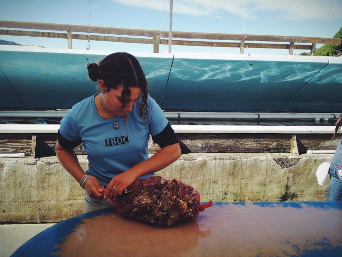 The star of the show