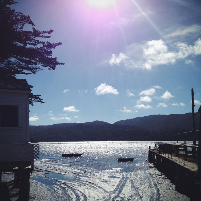 Reminds me a bit of home in the Northwest