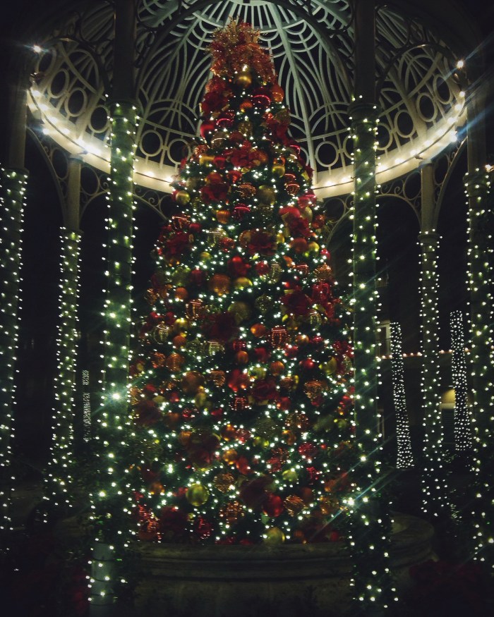 Processed with VSCOcam with f2 preset