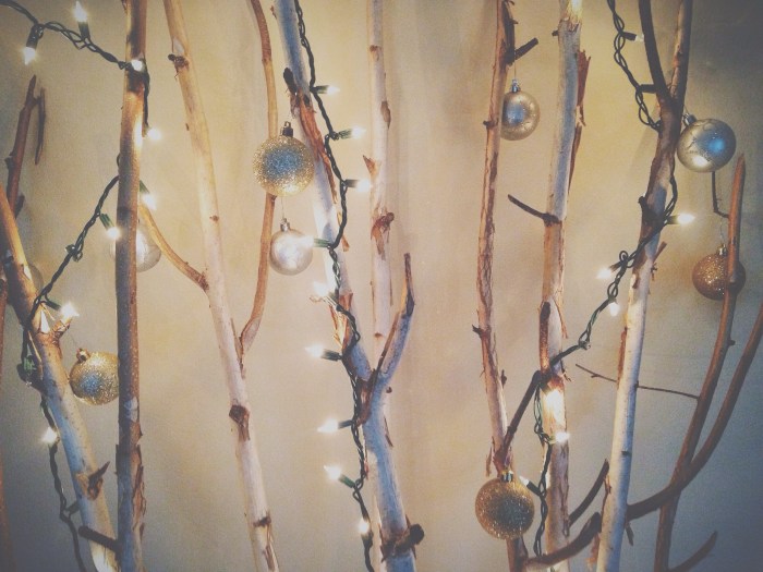 My sister's take on a Christmas tree, decorated birch branches, SO CUTE!