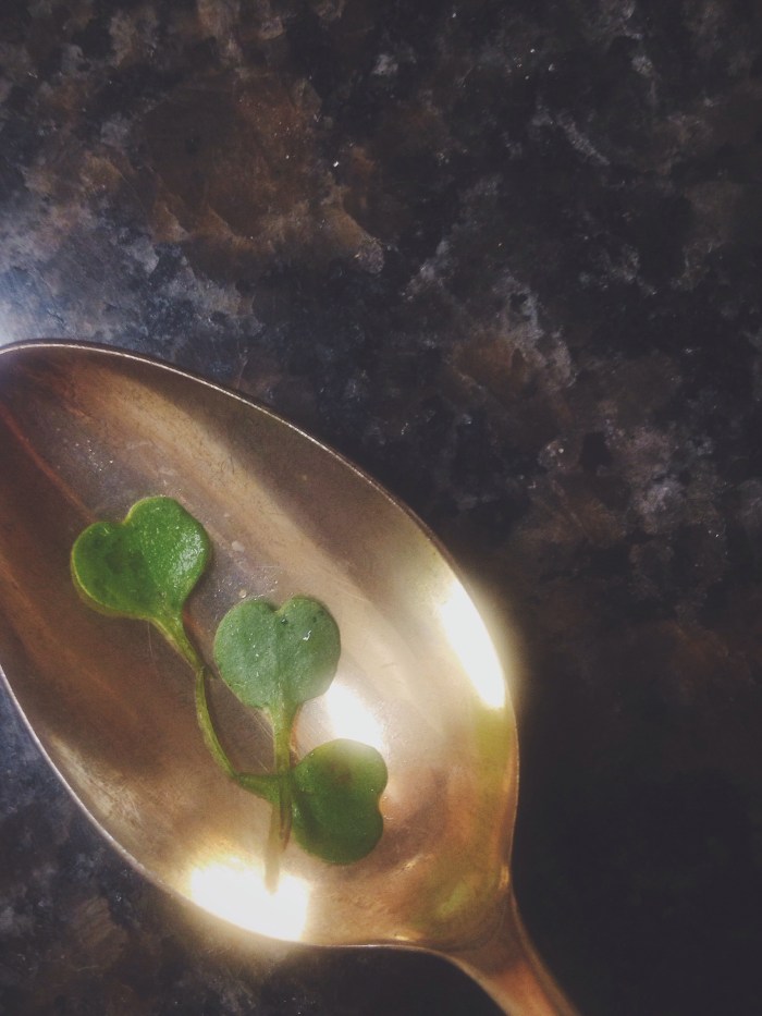 I think my salad was sending me a message. #love