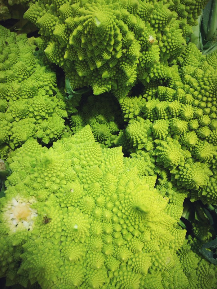 The hubs lost his damn mind over these (romanesco in case you are wondering).