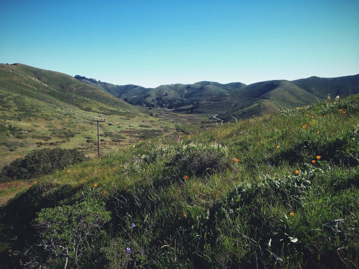 Processed with VSCOcam with f2 preset