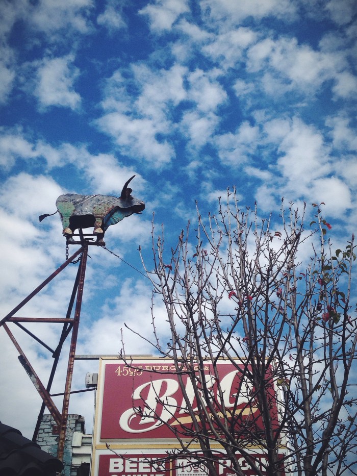 Looking up and pretending I'm in Waco, TX hanging out with my new besties, Chip & Jo, working on a Fixer Upper.