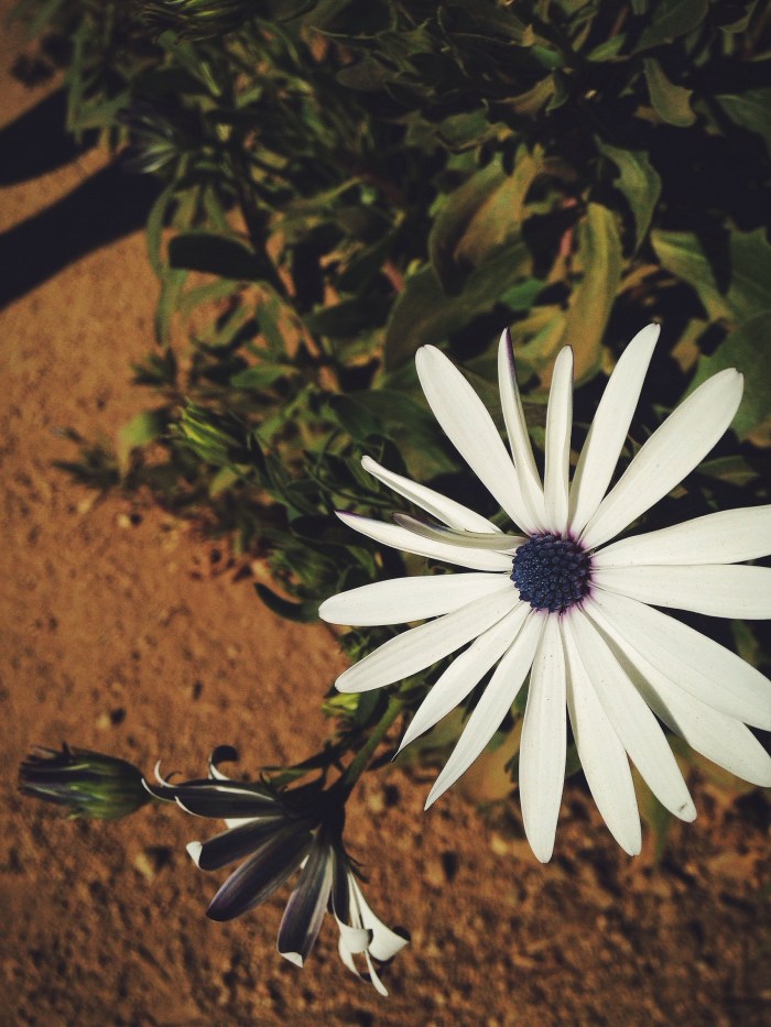 Processed with VSCOcam with f2 preset