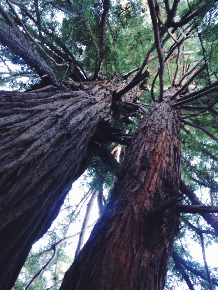 Processed with VSCOcam with f2 preset