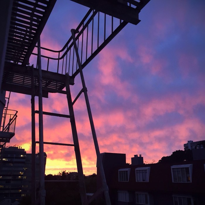 Just a little sneak peek of the sunset from my kitchen window. No filter, folks.