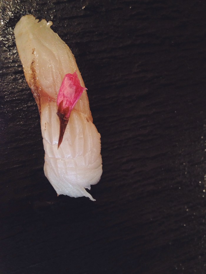 Processed with VSCOcam with f2 preset