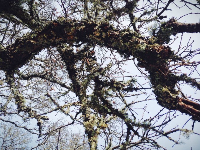 Processed with VSCOcam with f2 preset