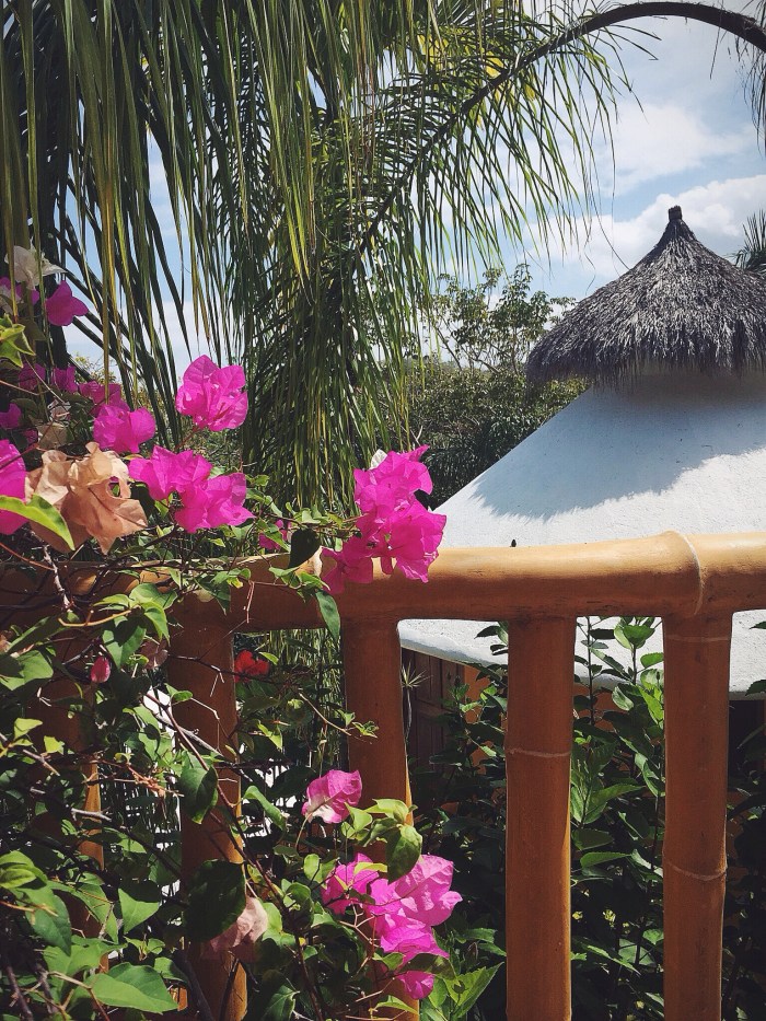 I could eat breakfast here every day, especially when breakfast is yummy cheesy eggs on corn tostada with hot sauce