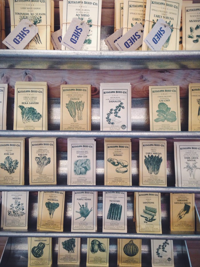 Dreaming of my future garden.