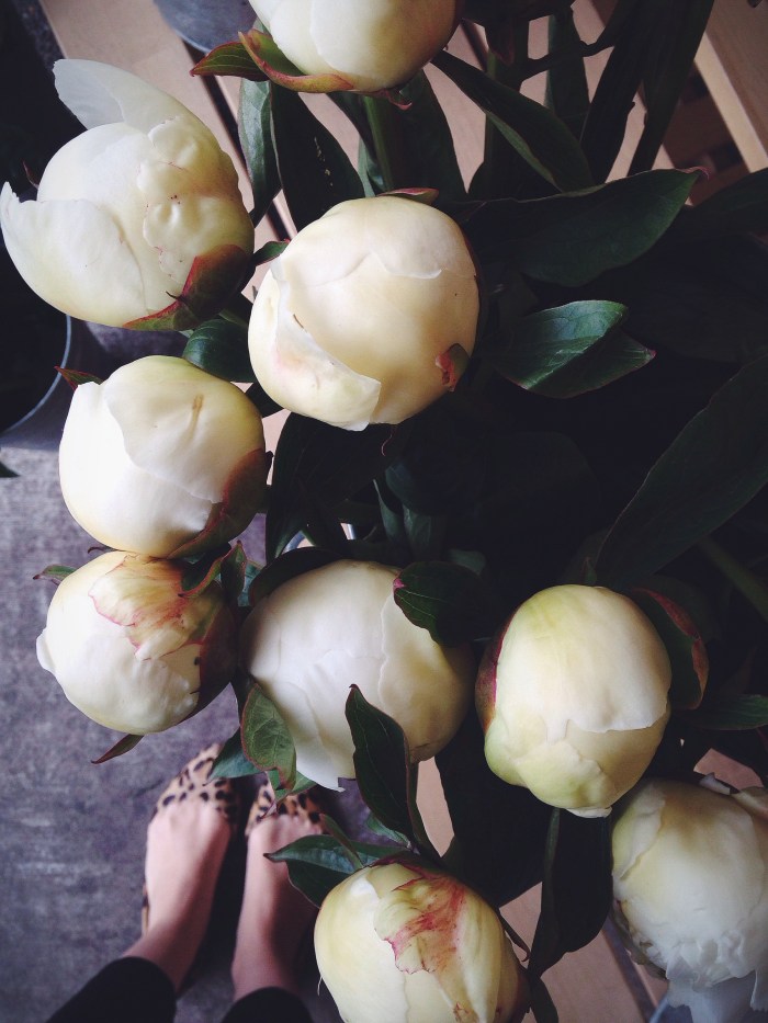 PEONIES! It's that time of year and I love it, bring on the Instagram peony takeover