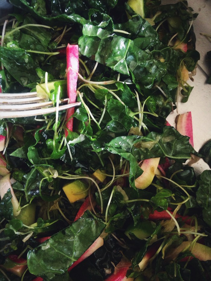 After a glutinous long weekend this vegan salad tasted like heaven: kale, micro broccoli, watermelon radish, avocado, sauerkraut, lemon, apple cider vinegar, olive oil, maldon sea salt