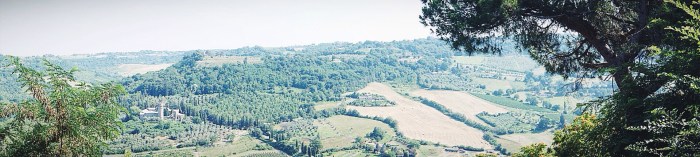 Lots of vines below!