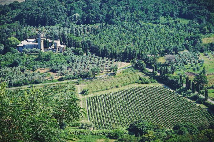 The view looking down from town to the valley below